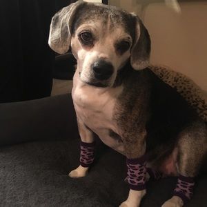 Meet your Posher, Jay